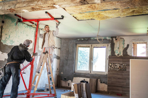 Best Cellulose Insulation in Clinton, AR