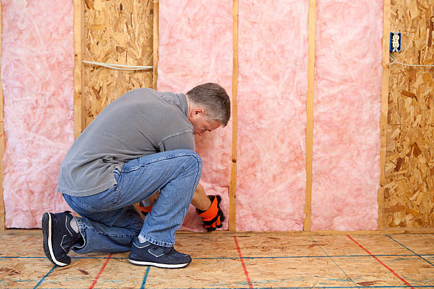 Best Insulation Maintenance and Repair in Clinton, AR